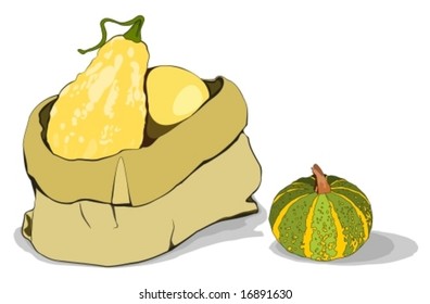 Decorative pumpkins in paper bag