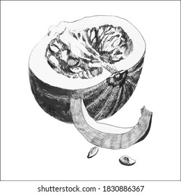 Decorative pumpkins of various shapes