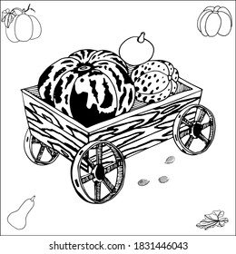 Decorative pumpkins of various shapes and in a cart. Halloween, pumpkin.