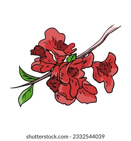 Decorative quince. Tree branch with beautiful red flowers. Garden plant. Cartoon vector illustration isolated on white background. Hand drawn outline