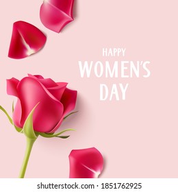 Decorative realistic red rose with petals on pink background. International womans day design. Vector illustration.