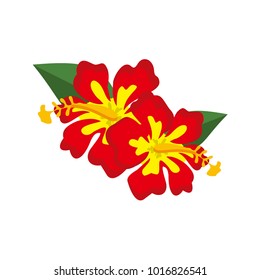 Decorative Red Hibiscus Flower Illustration Vector Graphic Design