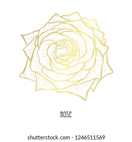 Decorative rose flower, design element. Can be used for cards, invitations, banners, posters, print design. Golden flowers
