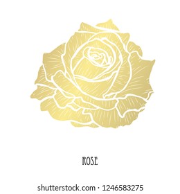 Decorative rose flower, design element. Can be used for cards, invitations, banners, posters, print design. Golden flowers