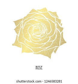 Decorative rose flower, design element. Can be used for cards, invitations, banners, posters, print design. Golden flowers