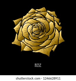 Decorative rose flower, design element. Can be used for cards, invitations, banners, posters, print design. Golden flowers