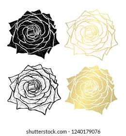 Decorative rose  flowers, design elements. Can be used for cards, invitations, banners, posters, print design. Golden flowers