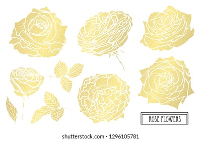 Decorative rose flowers, design elements. Can be used for cards, invitations, banners, posters, print design. Golden flowers