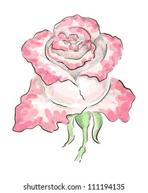 Decorative rose of two colors drawn by hand on graphic tablet. Monochrome hatching and colorful transparent strokes, eps 10 vector illustration