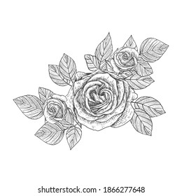 Decorative roses. Floral arrangement of flowers and leaves. A bouquet of flowers for the decoration of wedding invitation cards and greeting cards Black engraving, graphics, line art. Vintage. 