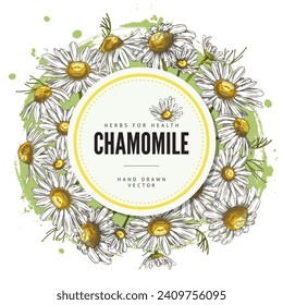 Dekorativer runder Rahmen mit handgezeichnet gezeichneter Kamillenblumen-Skizze, Vektorgrafik einzeln auf weißem Hintergrund. Design-Element, schöne Feldpflanze, Kräuter für die Gesundheit