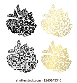Decorative  rowan berries, design elements. Can be used for cards, invitations, banners, posters, print design. Golden berries