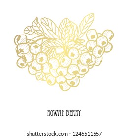 Decorative rowan berries, design elements. Can be used for cards, invitations, banners, posters, print design. Golden berries