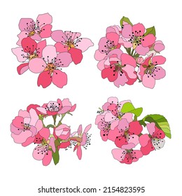 Decorative sakura, cherry blossom flowers set, design elements. Can be used for cards, invitations, banners, posters, print design. Floral background in line art style