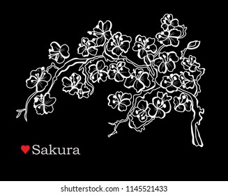 Decorative sakura flowers, design elements. Can be used for cards, invitations, banners, posters, print design. Floral background in line art style