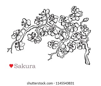 Decorative sakura flowers, design elements. Can be used for cards, invitations, banners, posters, print design. Floral background in line art style