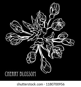 Decorative sakura flowers, design elements. Can be used for cards, invitations, banners, posters, print design. Floral background in line art style