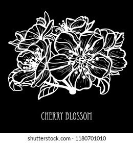 Decorative sakura flowers, design elements. Can be used for cards, invitations, banners, posters, print design. Floral background in line art style