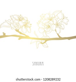 Decorative sakura flowers, design elements. Can be used for cards, invitations, banners, posters, print design. Golden flowers