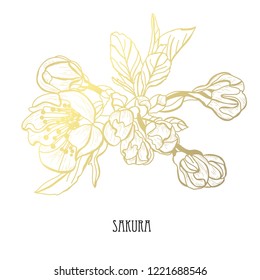 Decorative sakura flowers, design elements. Can be used for cards, invitations, banners, posters, print design. Golden flowers