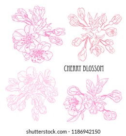 Decorative sakura flowers set, design elements. Can be used for cards, invitations, banners, posters, print design. Floral background in line art style