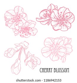 Decorative sakura flowers set, design elements. Can be used for cards, invitations, banners, posters, print design. Floral background in line art style