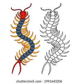 decorative scolopendra, dangerous poisonous insect, predator, color vector illustration with black ink contour lines isolated on a white background in a cartoon and hand drawn style