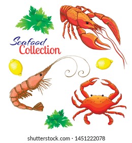 decorative seafood vector set. realistic sketched prawn or shrimp, lobster, crayfish and crab with lemon and bunch of parsley. cartoon vintage prawn, crawfish and crab. Bright shrimp, crab and lobster