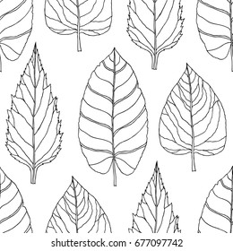 Decorative seamless leaves vector pattern. Hand drawn ink sketch. Black and white pattern.