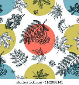 Decorative seamless pattern with Ink hand drawn autumn maple, chestnut, oak leaves and a bunch of rowanberry.  Botanical elements texture for your design. Vector illustration.