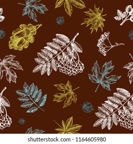 Decorative seamless pattern with Ink hand drawn autumn maple, chestnut, oak leaves and a bunch of rowanberry.  Botanical elements texture for your design. Vector illustration.