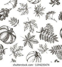 Decorative seamless pattern with Ink hand drawn autumn maple, chestnut, oak leaves, ripe pumpkin and a bunch of rowanberry.  Botanical elements texture for your design. Vector illustration.