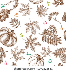Decorative seamless pattern with Ink hand drawn autumn maple, chestnut, oak leaves, ripe pumpkin and a bunch of rowanberry.  Botanical elements texture for your design. Vector illustration.