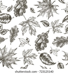 Decorative seamless pattern with Ink hand drawn autumn maple and oak leaves. Botanical elements texture for your design. Vector illustration.