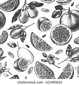 Decorative seamless pattern with ink hand-drawn kumquats, grapefruit and citrus slices. Vector illustration.