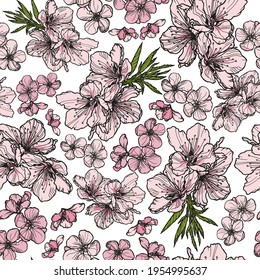 Decorative seamless pattern with pink flowers blooming on a branch. Hand-drawn in pen and ink.  Endless floral ornament with flowers of spring tree on white background. 
