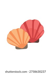 decorative seashell illustration on plain bright white background