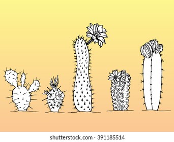 Decorative set of cacti. Blooming cactus. Line art. Black and white drawing by hand. Plants. Graphic arts.