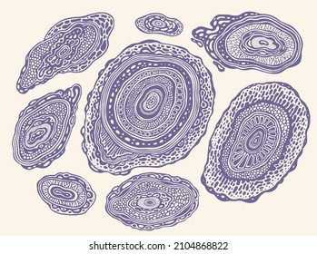 Dekoratives Set mit handgezeichneten Boho-Mustern. Vektorgrafik