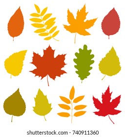 decorative set of isolated colorful autumn leaves silhouettes on white background