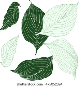 Decorative set with leaves. Endless elegant texture with leaves. Template for design fabric, backgrounds, wrapping paper, package, covers.