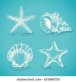 Decorative set sketch of seashells and starfish