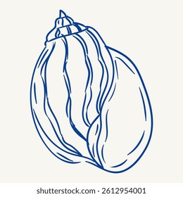 Decorative shell illustration showcasing intricate lines and curves in blue