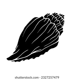 Decorative silhouette of a seashell.Vector graphics.