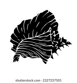 Decorative silhouette of a seashell.Vector graphics.