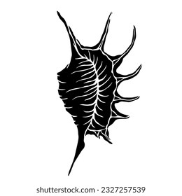 Decorative silhouette of a seashell.Vector graphics.