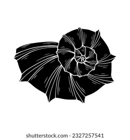 Decorative silhouette of a seashell.Vector graphics.