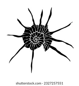 Decorative silhouette of a seashell.Vector graphics.