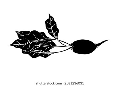 Decorative silhouette, stamp of beet root vegetables. Vector graphics.