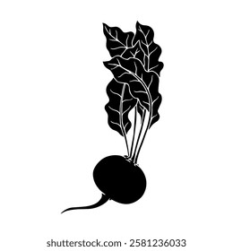 Decorative silhouette, stamp of beet root vegetables. Vector graphics.